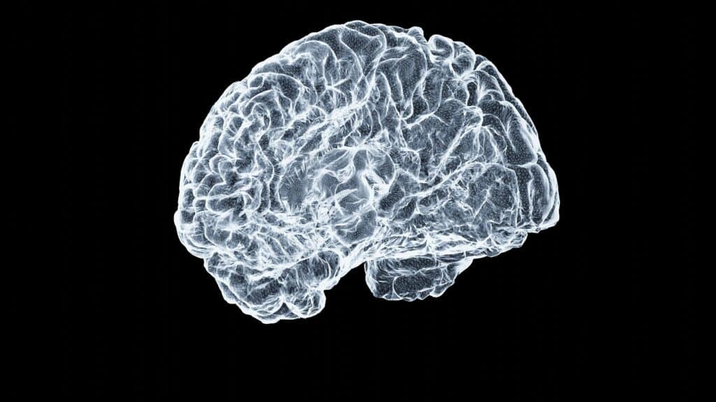 Högt blodsocker efter måltid kopplas till ökad risk för Alzheimer, enligt ny studie 2 Hjärnillustration – studie kopplar blodsocker efter måltid till ökad risk för Alzheimer.