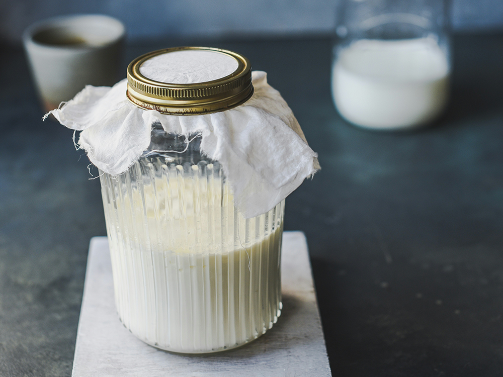 Glasburk med fermenterad kefir under tyglock på köksbänk – är kefir nyttigt?