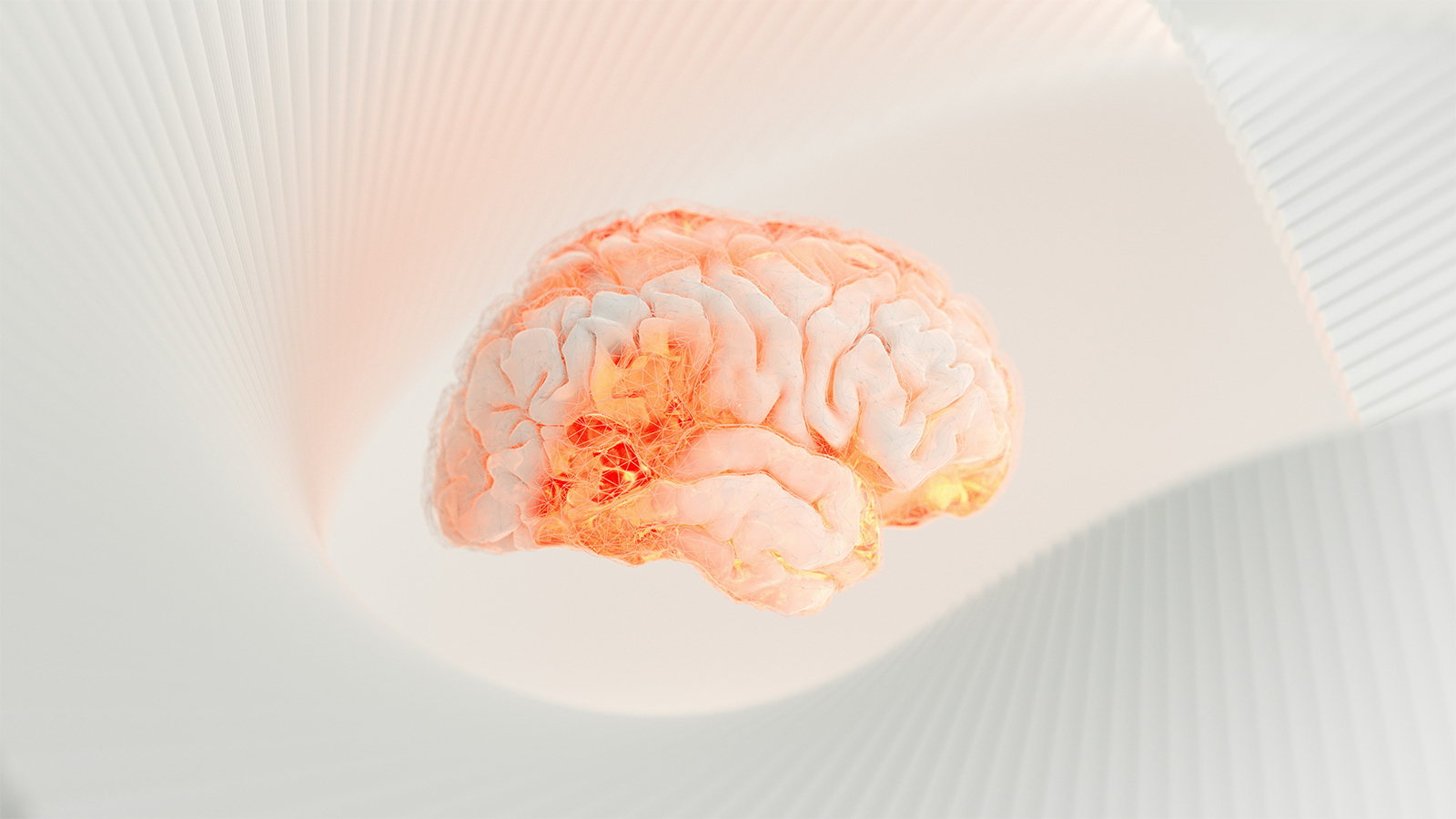 Illustration av hjärnan vid experimentell behandling efter stroke.