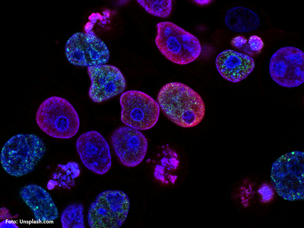 cancerceller