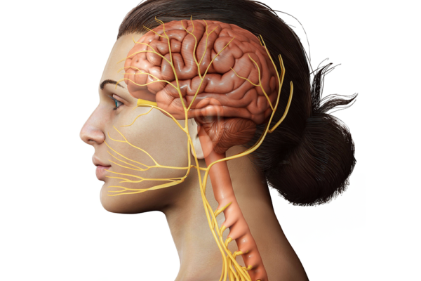 vagusnervstimulering