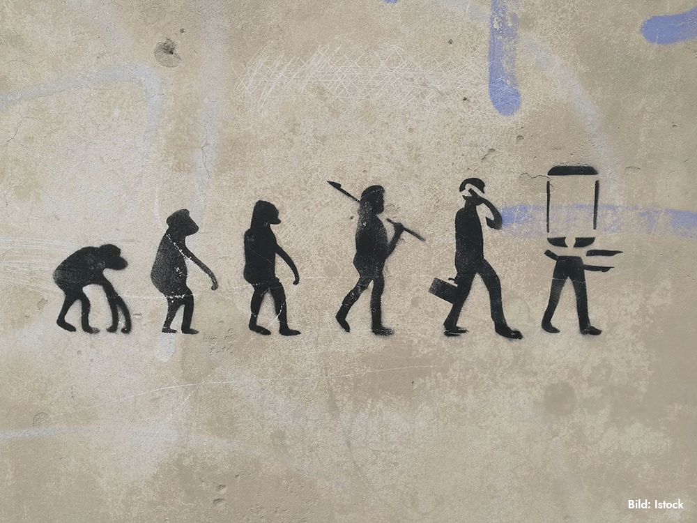 människans evolution