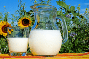 fermenterade livsmedel probiotika och prebiotika