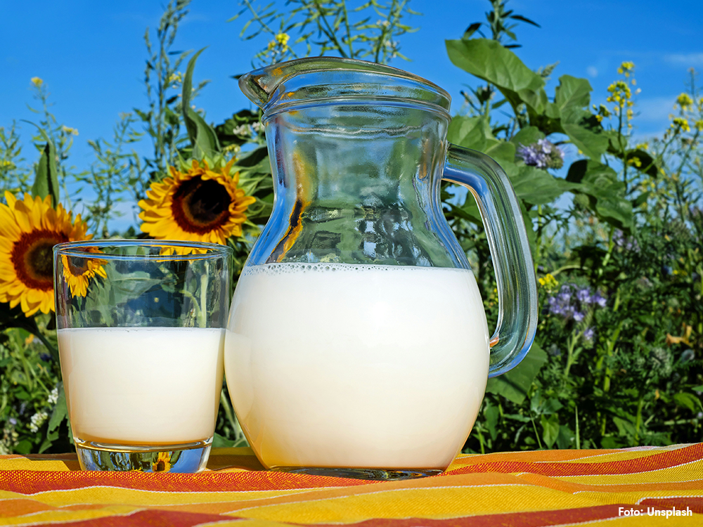 fermenterade livsmedel probiotika och prebiotika