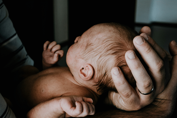 Moderkaka och evolution – hur graviditetens nyckelorgan växte fram hos däggdjur Sovande nyfödd bebis – ett liv som möjliggjorts av moderkaka under graviditeten.