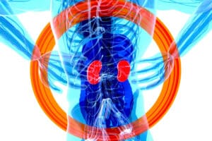 Illustration av människokroppen där njurarna är markerade i rött, som symboliserar sambandet mellan njurarna och träning, njurarna och åldrande och väcker frågan ”vad gör njurarna?”.