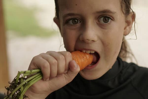 Barn som äter grönsaker – vegankost för barn kräver planering för att minska risk för kalciumbrist och B12-brist.